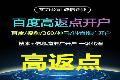 SEM运营推广策略：成功案例解析